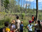 Okolí dolního měšického rybníka